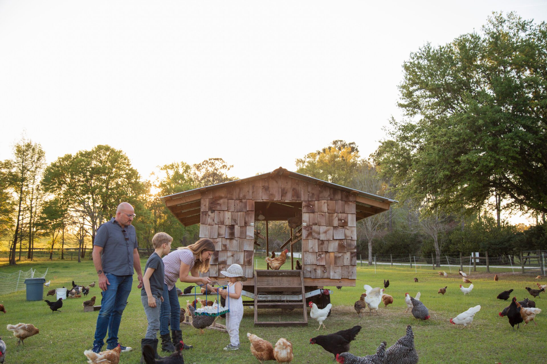 family-on-farm-surrounded-by-chickens-mother-and-2023-11-27-04-50-30-utc